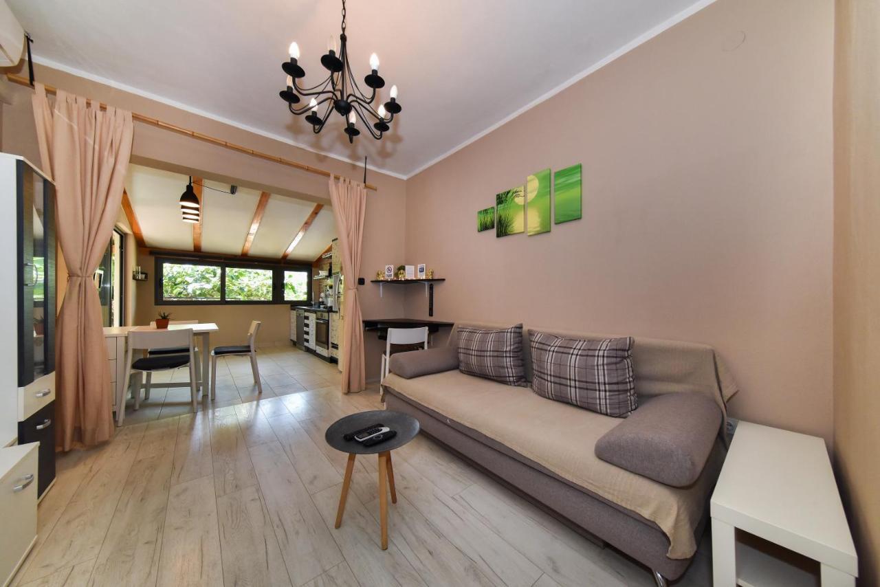 Little Monkey Apartament
