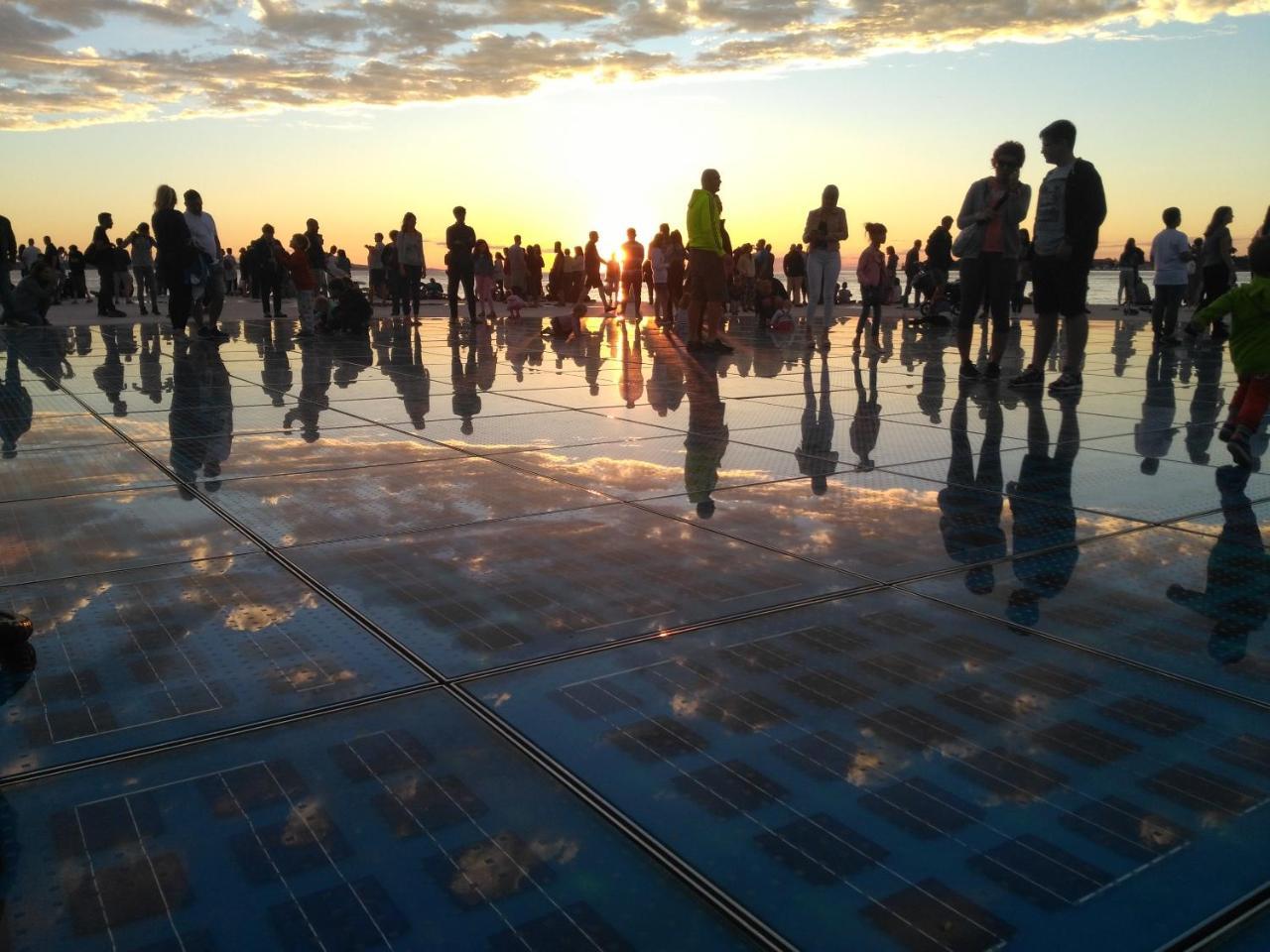 Little Monkey * Zadar